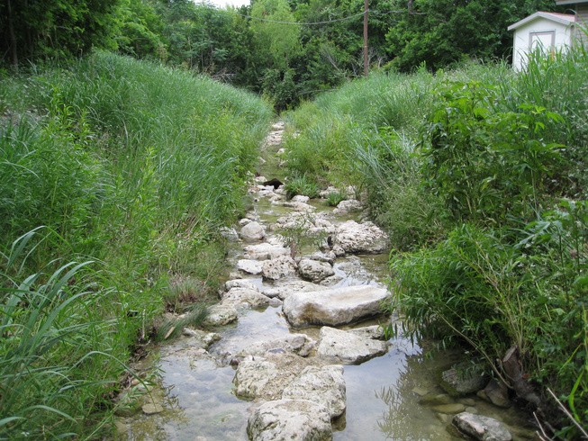 a stream running through a field with rocks and grass